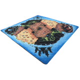 "Forgotten Island" / "Magma and Ice"